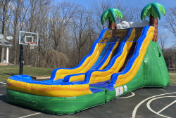 Tropical20Wave20Slide202 1718472317 17 Tropical Wave Slide - Dual Lane (Wet)